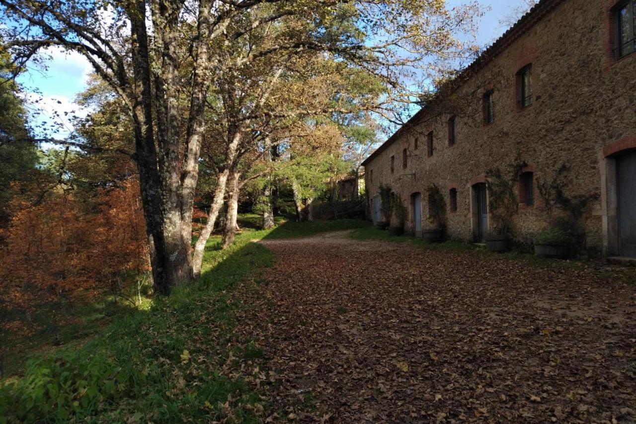 ホテル Torre Camigliati Dimora Storica カミリアテッロ・シラーノ エクステリア 写真